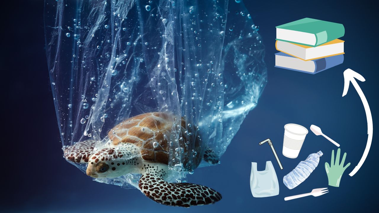 ocean-children's books-health-pollution