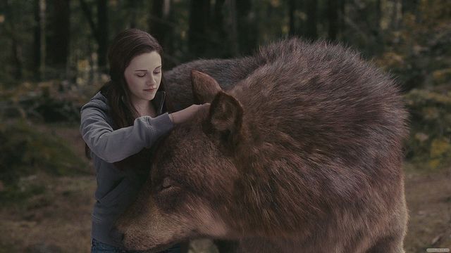 Twilight: 7 Incredible Theories That Explain the TRUTH About Bella