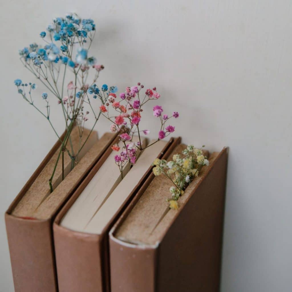3-books-with-flowers-coming-from-the-top