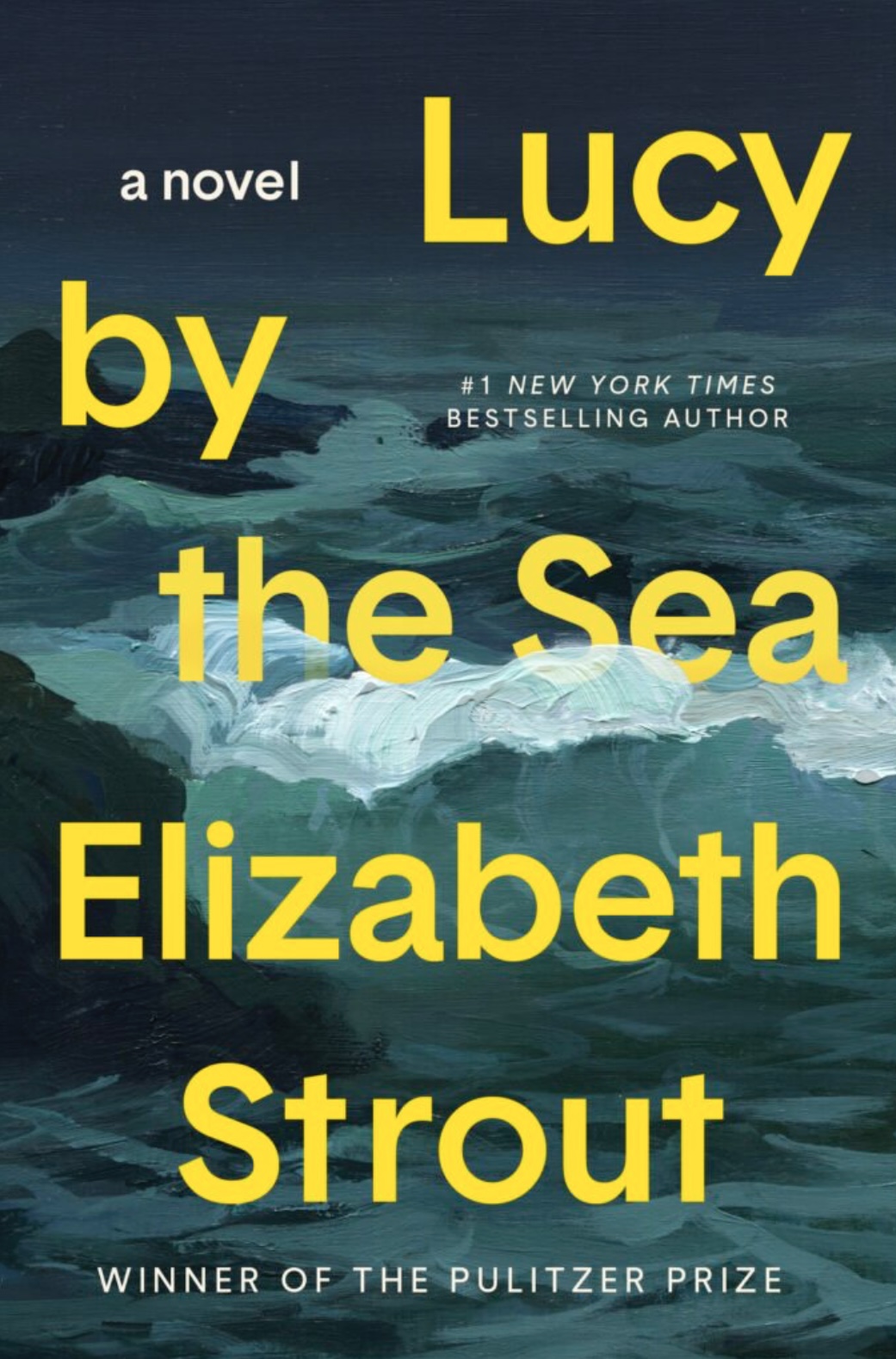 Lucy by the Sean By Elizabeth Strout book cover.
