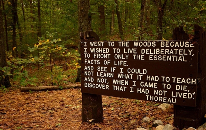 calabria-post-henry-david-thoreau-sign-in-forest-phrase