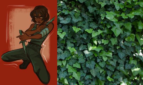 left: Camilla Hect
right: ivy plant