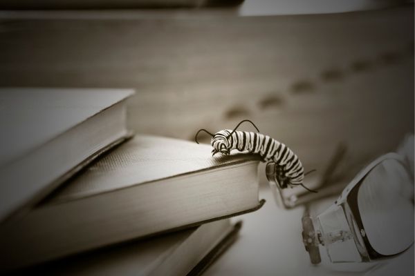 Caterpillar on a stack of books with a pair of reading glasses next to it.