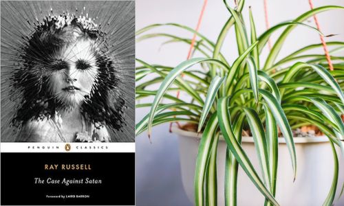 left: book cover of The Case Against Satan. Right: spider plant
