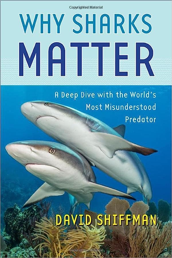 Book cover of why sharks Matter by David Shiffman.