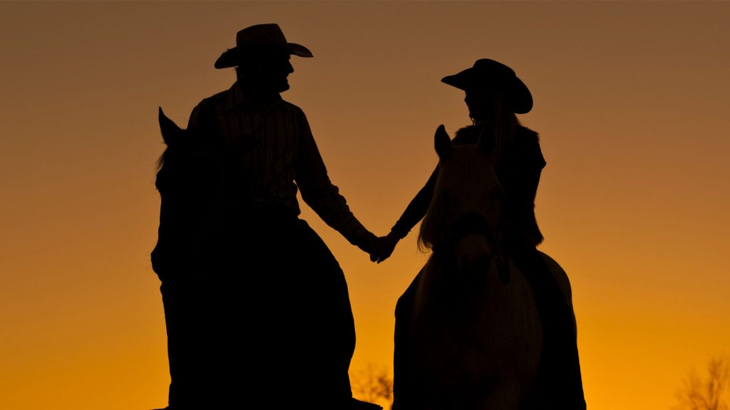 Yee-Haw! Save a Horse, Ride a… Cowboy Romance
