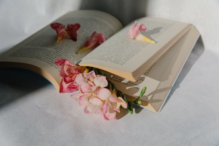 Open Book with flower petals inside it  on a white backdrop.