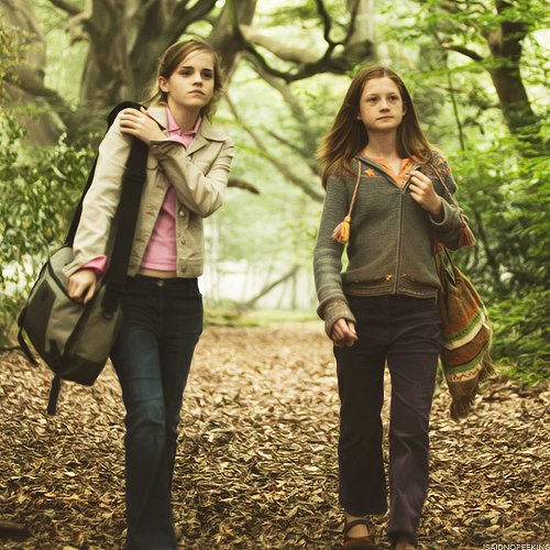 Brunette woman and red-haired woman walking together in woods with satchel bags image