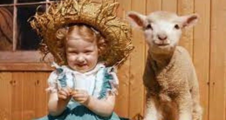 A little girl wearing a strawy hat sitting next to a little lamb