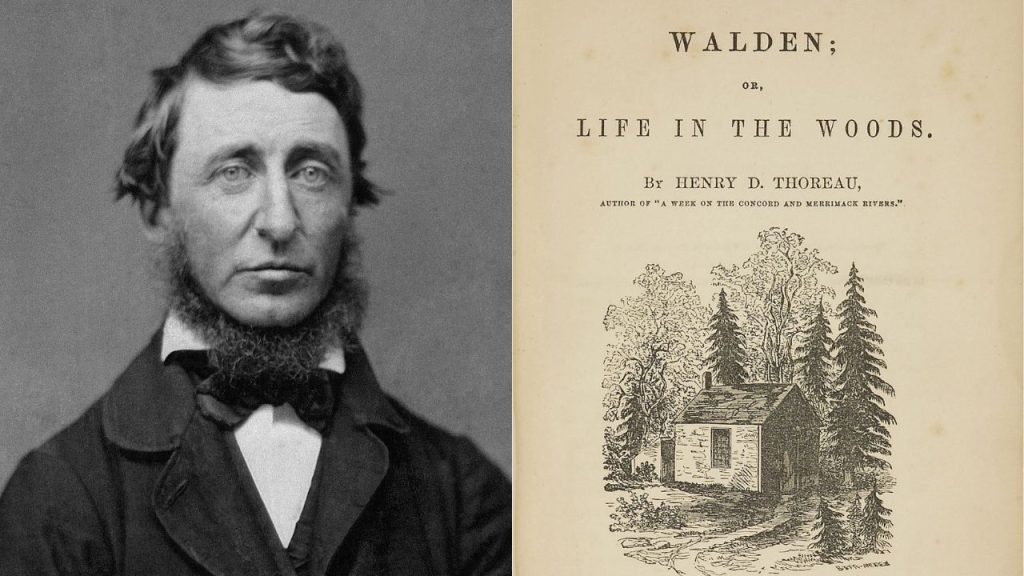 Intriguing And Provocative Quotes Found In Thoreau’s Walden