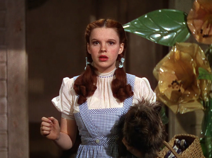 Judy Garland as Dorothy carrying Toto