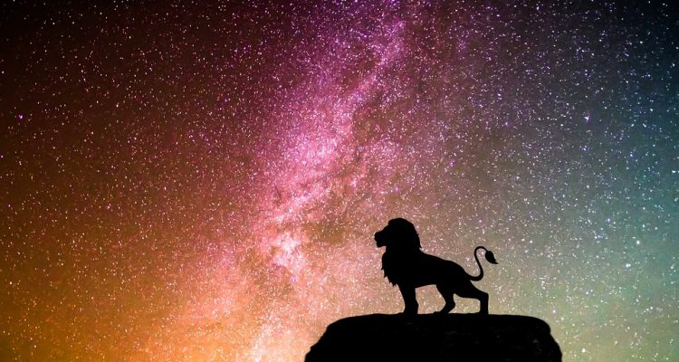 lion against starry sky