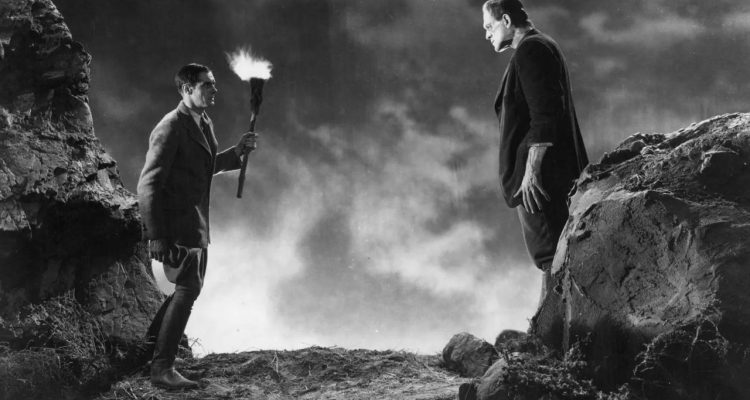 Frankenstein and his creature facing off in the torch light.