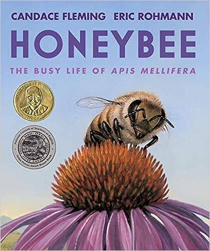A book cover with a fuzzy honeybee sitting on a flower. The title above it says honeybee: the busy life of apis mellifera by candace fleming
