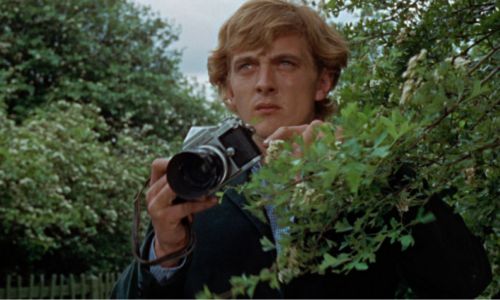 Michelangelo Antonioni Protagonist of the story Blow-Up taking pictures while hiding in a Bush