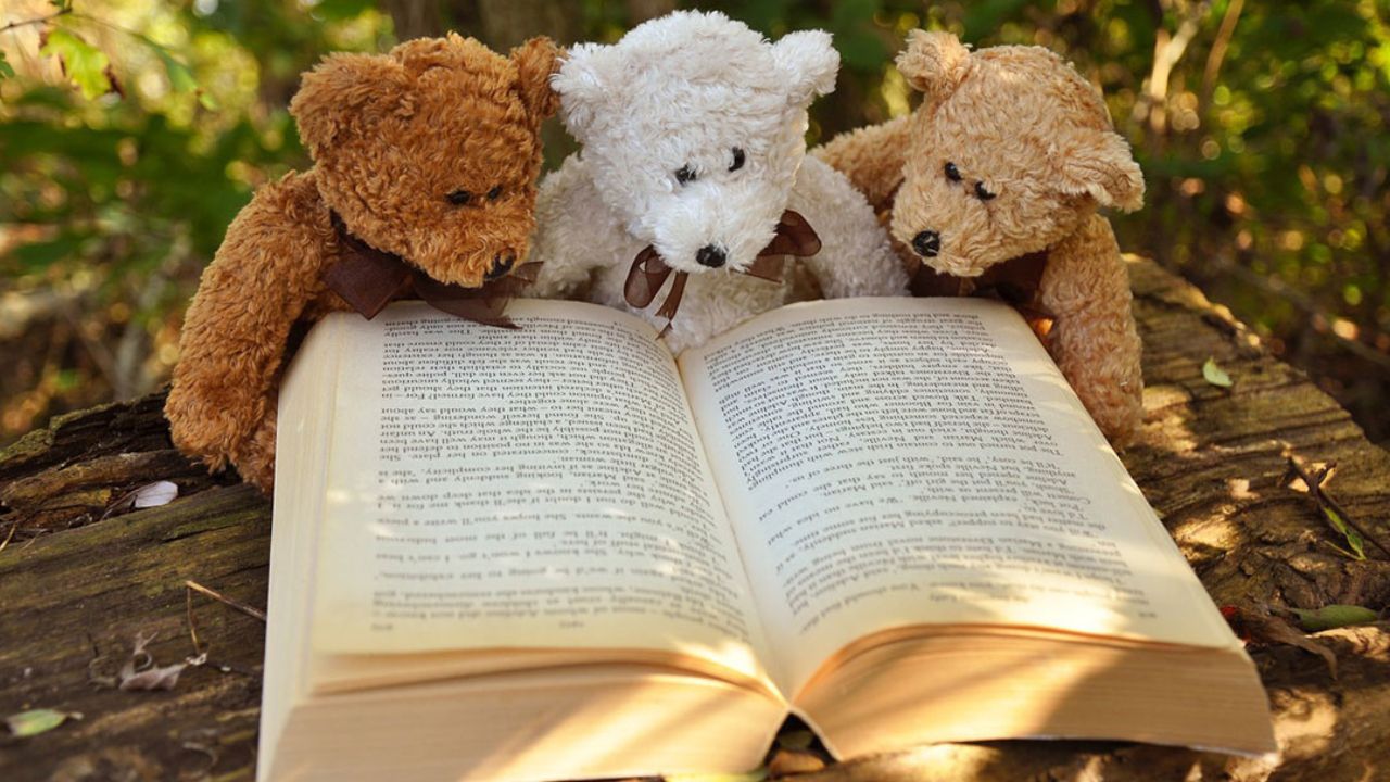 Three toy bears with a book