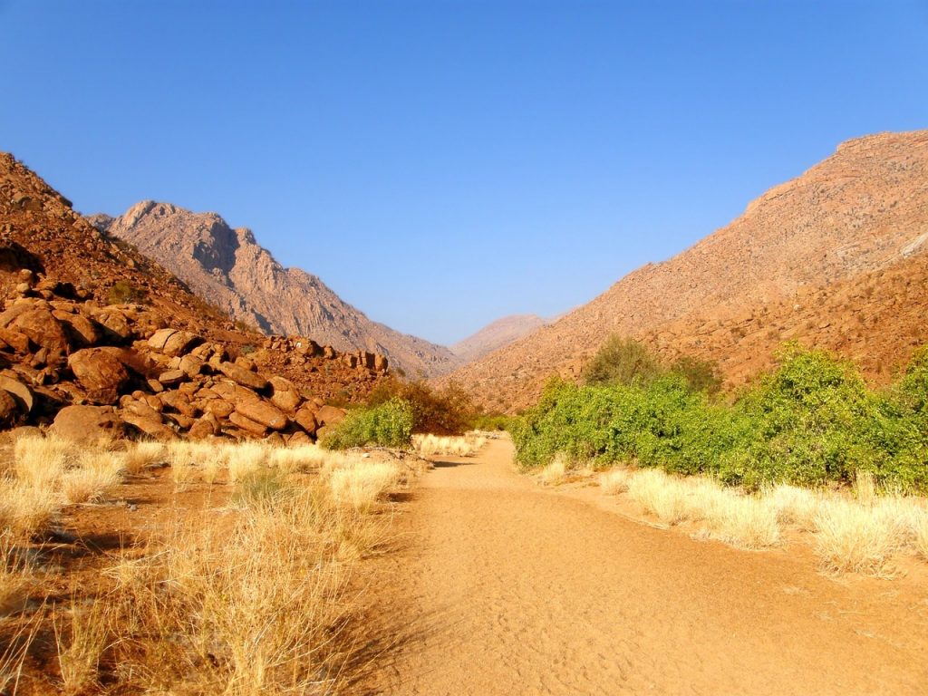 A sandy desert road surrounded by green vegetation and brown mountains.