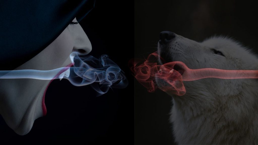 Vampires Outshine Werewolves and Leave’em Howling for More!
