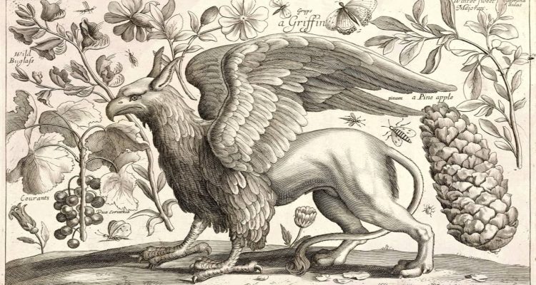 Sketch of Griffin, a creature with the head and wings of an eagle and the back legs and torso of a lion.