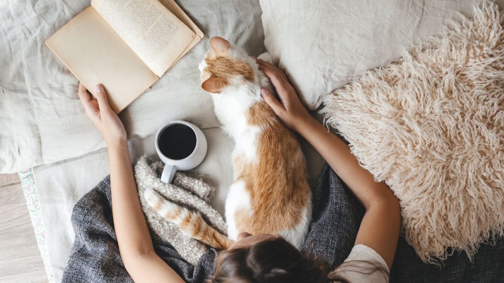 Women reading in bed with a nice cup off coffee and her cat 