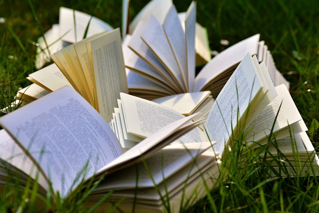 A bunch of opened books next to each other on the grass.