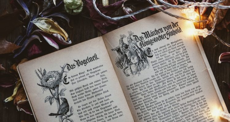 open German edition of a book with fairy lights