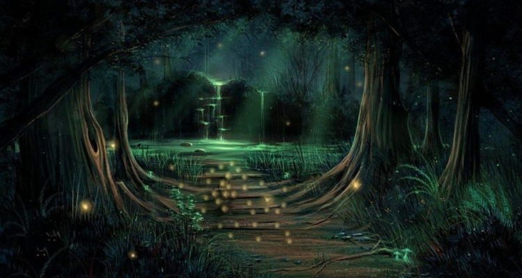A seemingly magical forest at night with moonlight peaking through the trees and fireflies out and about
