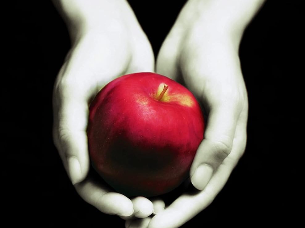 Cover of Twilight by Stephanie Meyer: Two hands holding a red apple against a black background