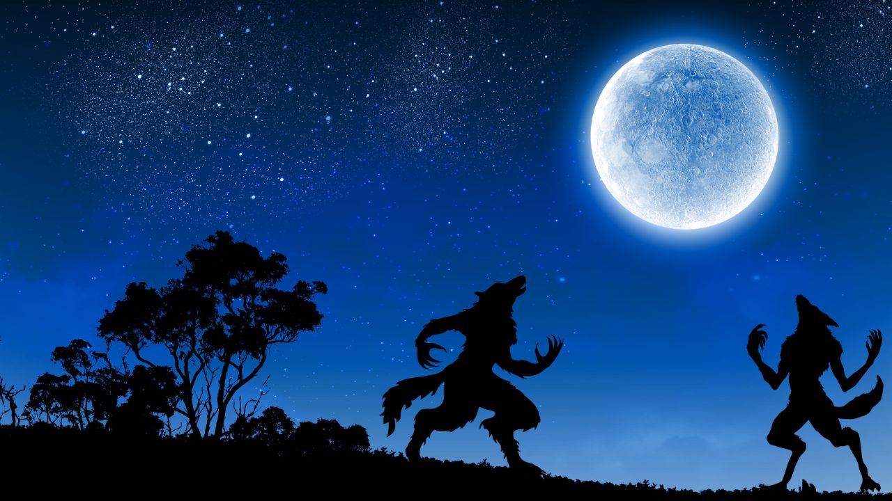 The story and meaning of the song 'Night of the Werewolves