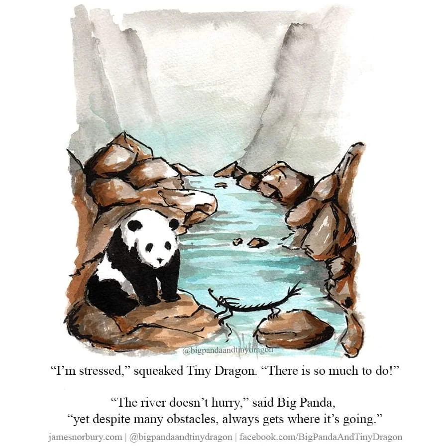A panda and a dragon walking along and on rocks next to a riverbank.