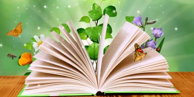 An open book with colorful butterflies, green leaves, and white and purple flowers emitting from the pages. Pages flipping. The book sits on a wooden table. Rays of light and small white sparkles emit from the pages. The fantastical scene of the book is set against a green background.