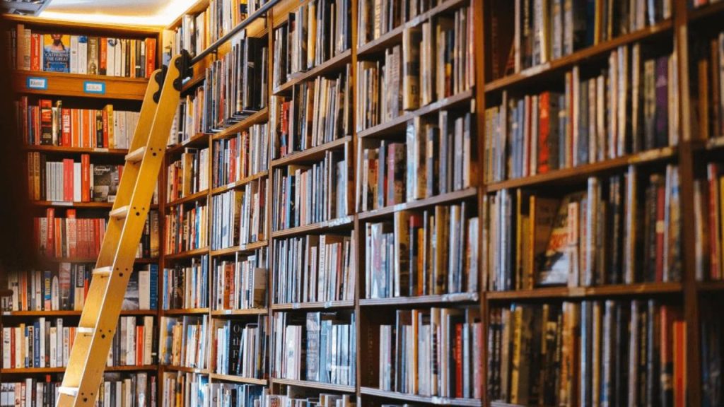 Exploring the Boundaries: Neutrality in Libraries and Bookstores