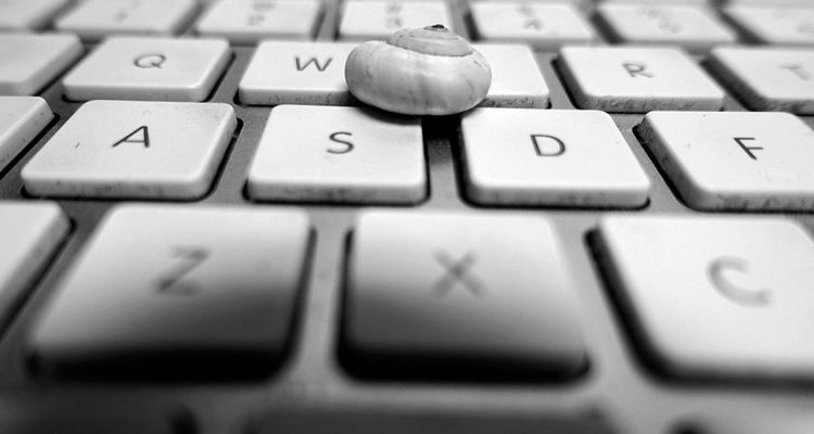 Small shell on a white keyboard.