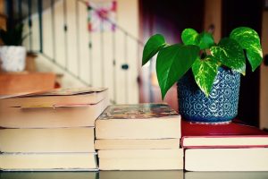 Why Bookshelves Are My Savior - Bookstr