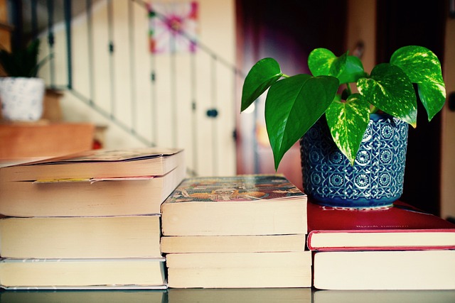 Three stacks of books with a green potted pothos plant in a blue pot on top of one of the stacks.