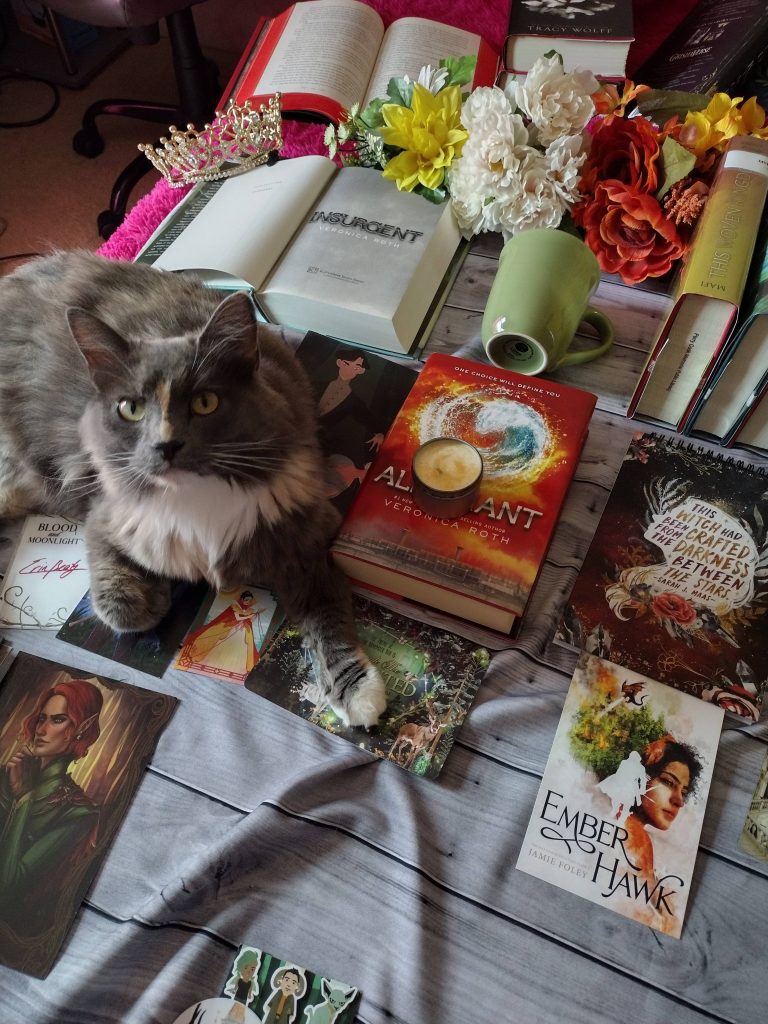 Gold, green and red photo setup with "Allegiant" by Veronica Roth sitting in the middle with various book merch surrounding it as a grey and white cat lays to the left side.