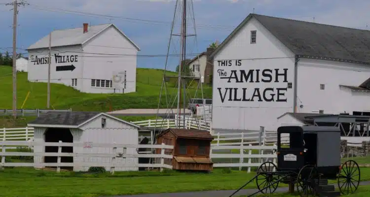 An Amish village with a wagon.