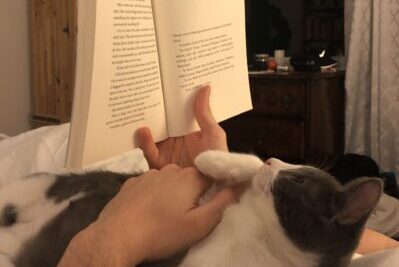 Grey and white cat held on person's chest while they hold a book above them both