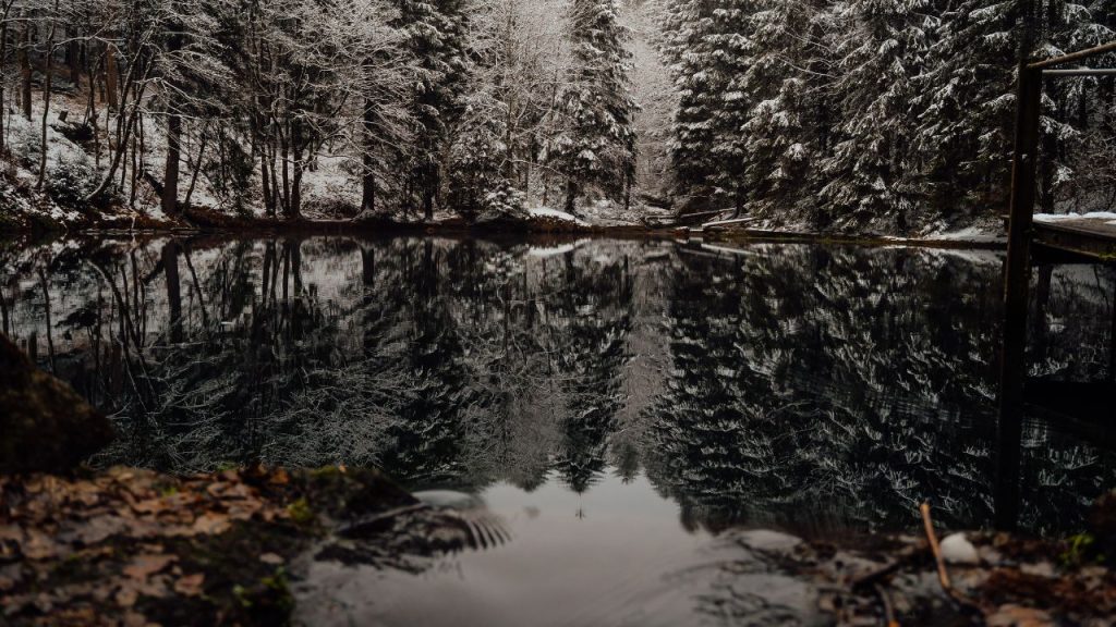 Beautiful lake surrounded by trees and snow 