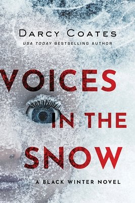 Voices in the snow doll frozen