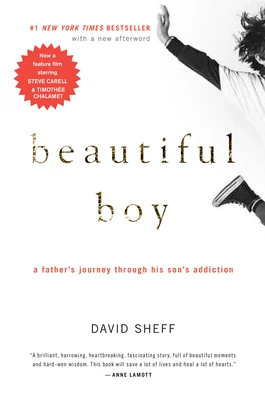 Beautiful Boy cover is a white background with a young boy jumping off the side of the cover. Only the boy's shoes, arm and back of head is shown.