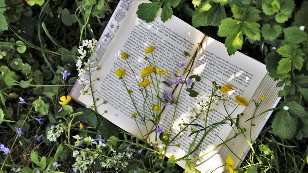 book laying on the ground amongst flowers and leaves
