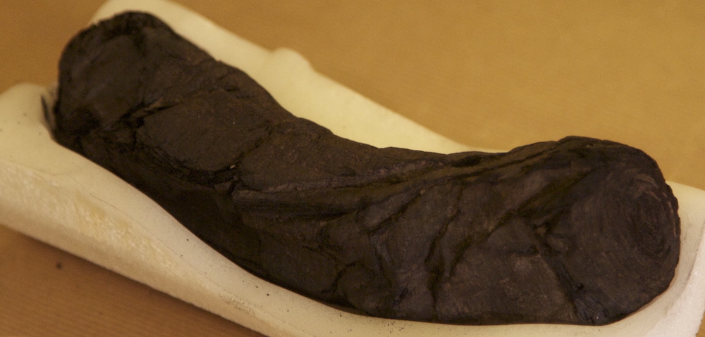 Image of Herculaneum scroll PHeric Paris 4. The brown scroll sits on a white towel against a yellow-ish brown background.