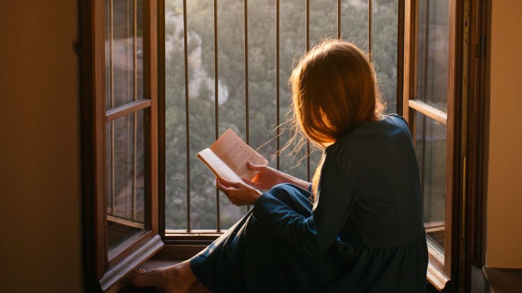 Person in a window, reading a book while staring at a beautiful wooded view.