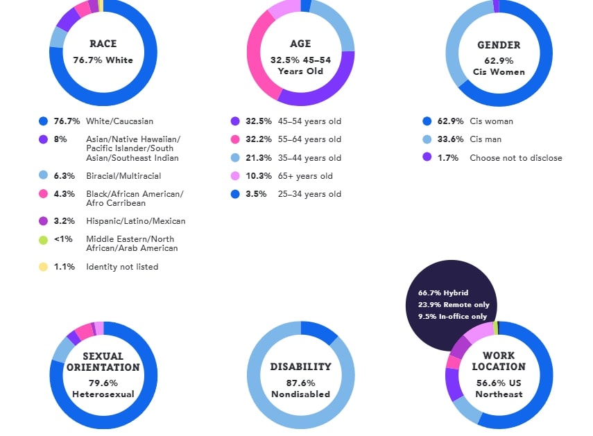 Six multi-colored pie charts showing the levels of diversity among the executive levels of the publishing industry. From left: Race, Age, Gender, Sexual Orientation, Disability, Work Location.
