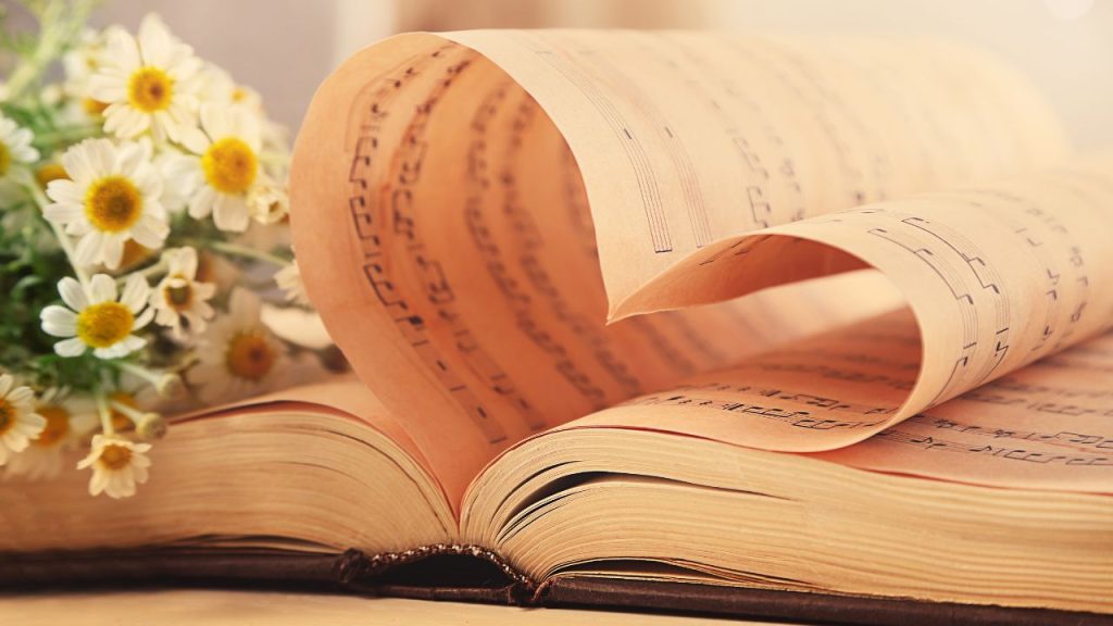 Book pages making a heart.