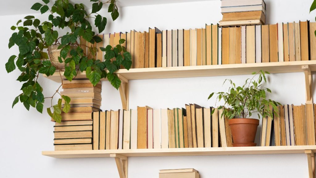 bookshelf with spines in, boks stacked, plants decorate the shelves
