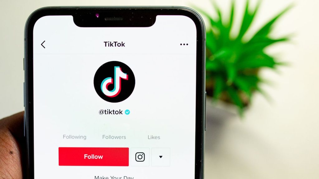 TikTok app pulled up on a phone screen.