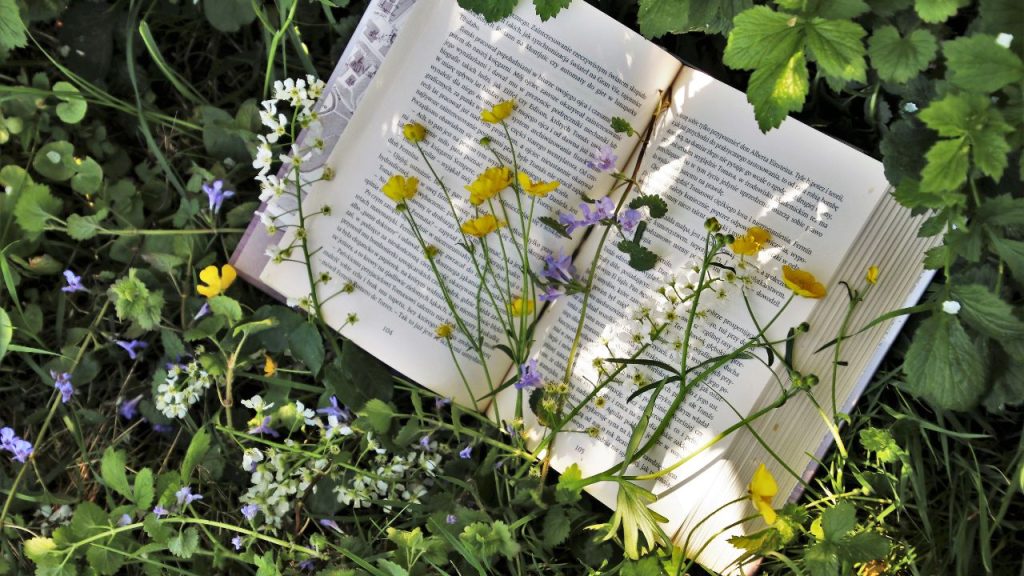 Opened book on the grass, with multiple flowers laying on top of its pages