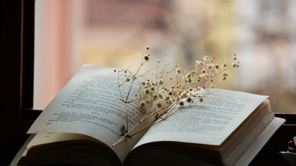 Open book in a window with flowers